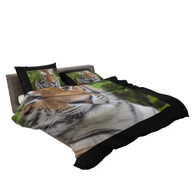 Fierce Tiger Captivating Gaze Bedding Set 2