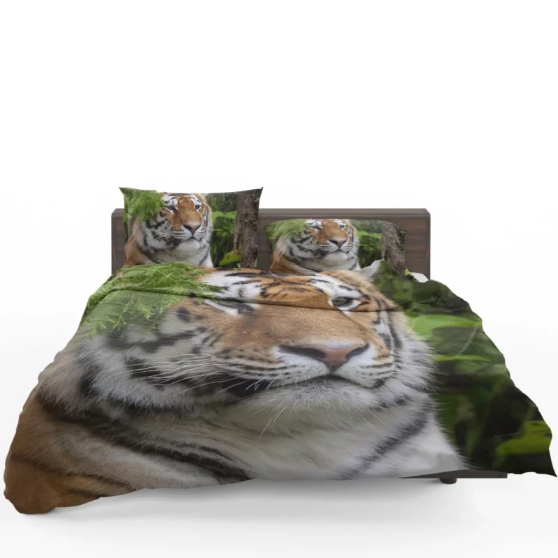 Fierce Tiger Captivating Gaze Bedding Set