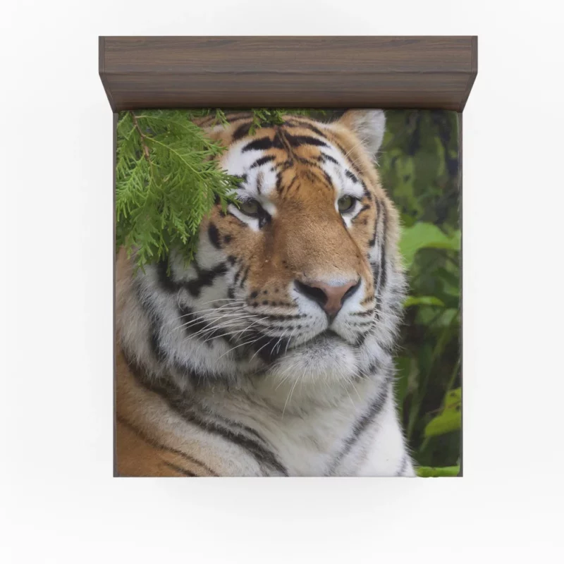 Fierce Tiger Captivating Gaze Fitted Sheet 1