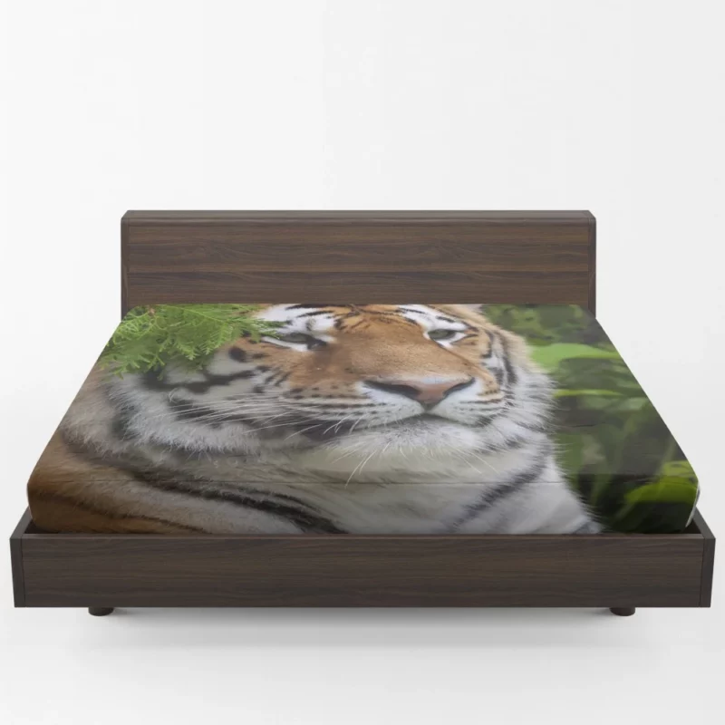 Fierce Tiger Captivating Gaze Fitted Sheet