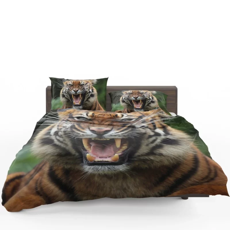 Fierce Tiger Gaze Untamed Majesty Bedding Set