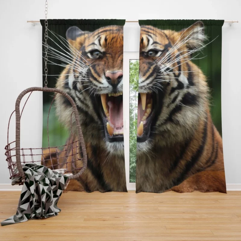 Fierce Tiger Gaze Untamed Majesty Curtain