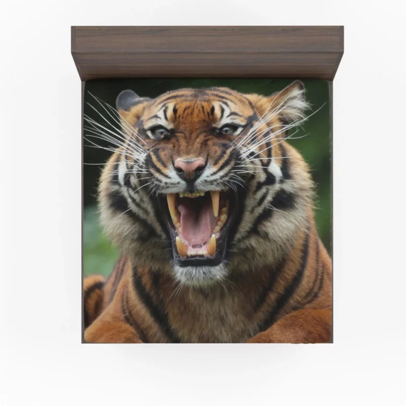 Fierce Tiger Gaze Untamed Majesty Fitted Sheet 1