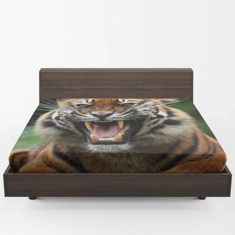 Fierce Tiger Gaze Untamed Majesty Fitted Sheet