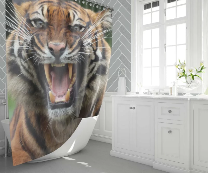 Fierce Tiger Gaze Untamed Majesty Shower Curtain 1