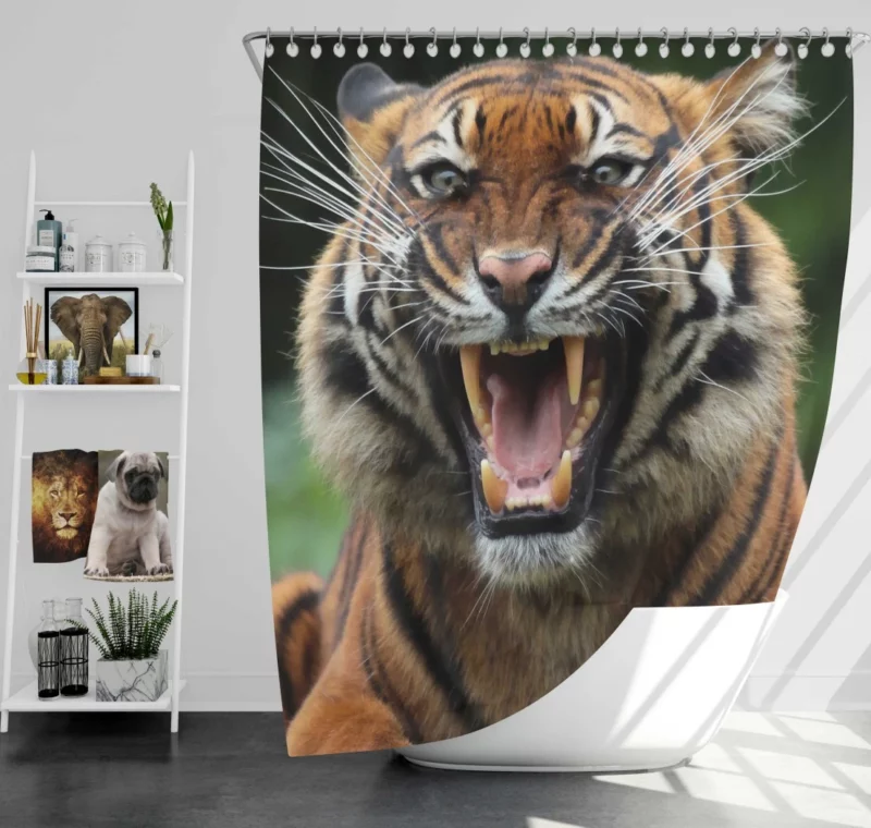 Fierce Tiger Gaze Untamed Majesty Shower Curtain