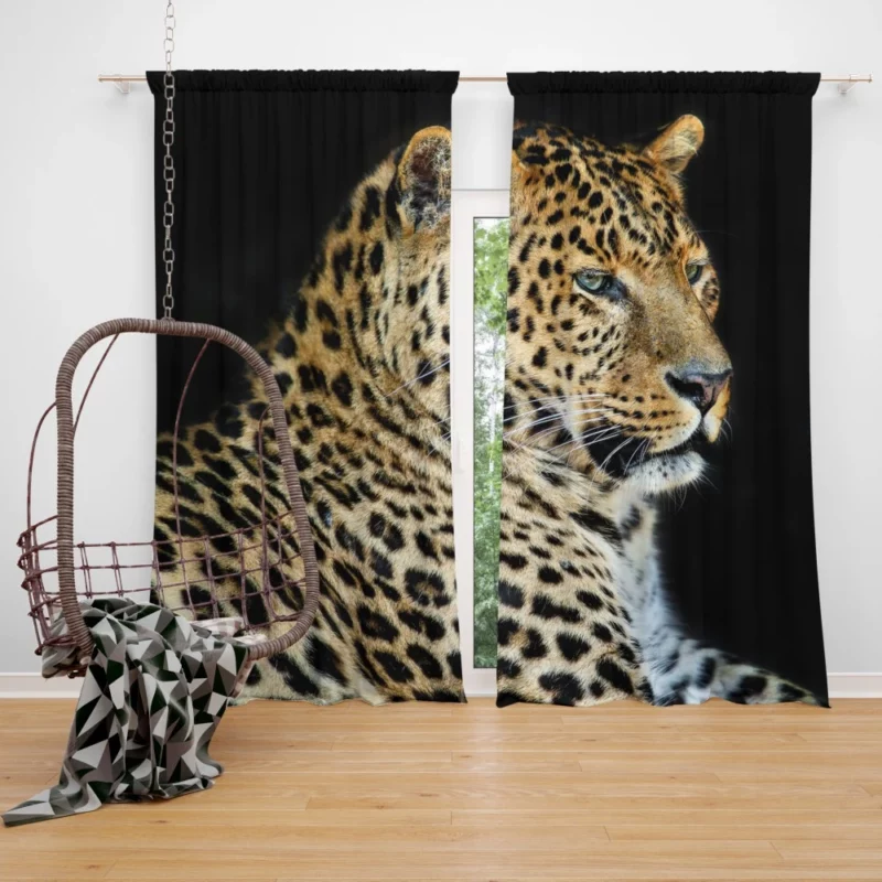 Fierce Wilderness Leopard Power Curtain