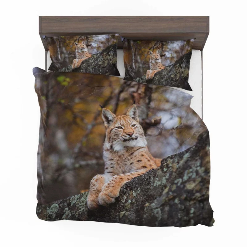 Fierce Wilderness Lynx Power Bedding Set 1