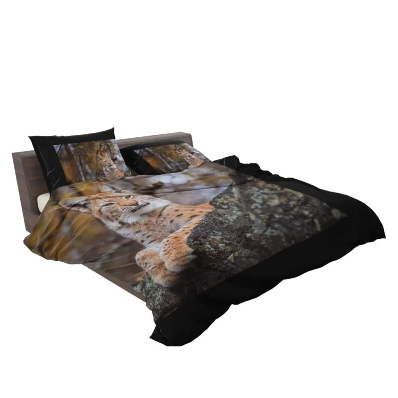 Fierce Wilderness Lynx Power Bedding Set 2