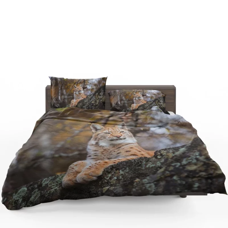 Fierce Wilderness Lynx Power Bedding Set