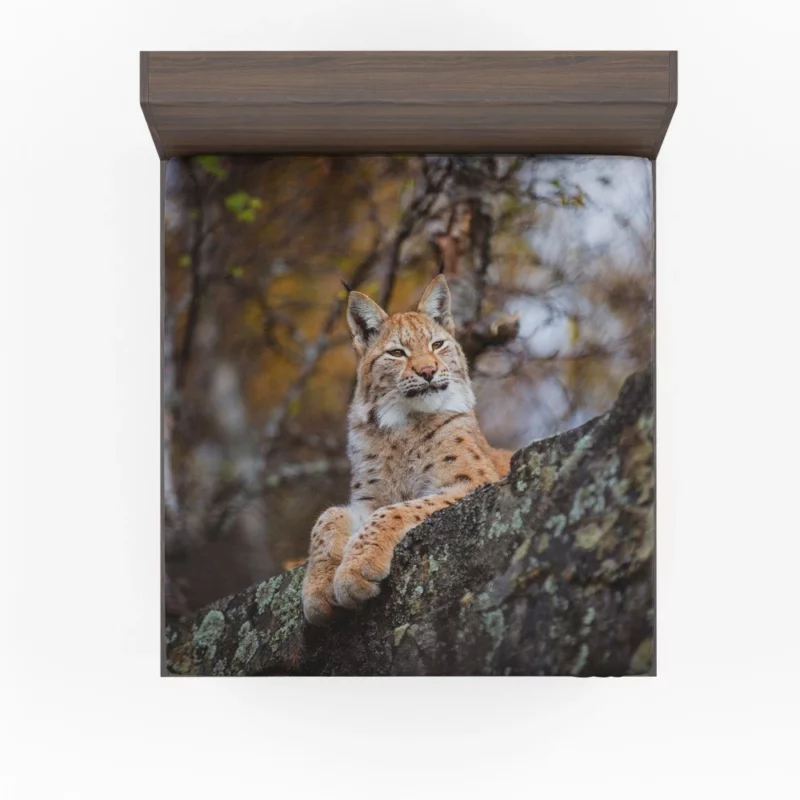 Fierce Wilderness Lynx Power Fitted Sheet 1