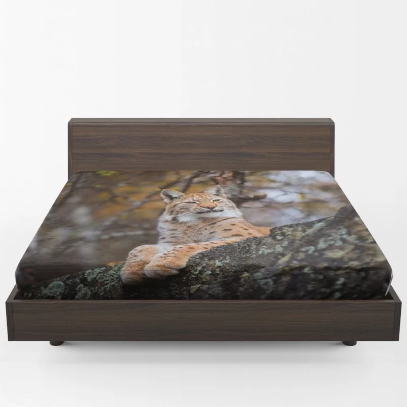 Fierce Wilderness Lynx Power Fitted Sheet