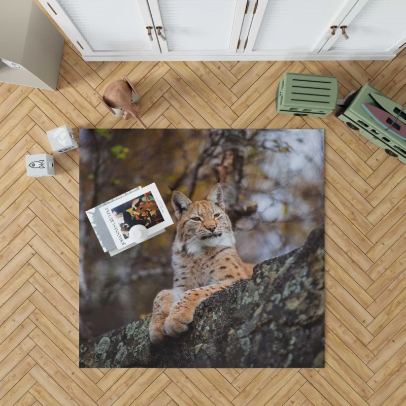 Fierce Wilderness Lynx Power Rug