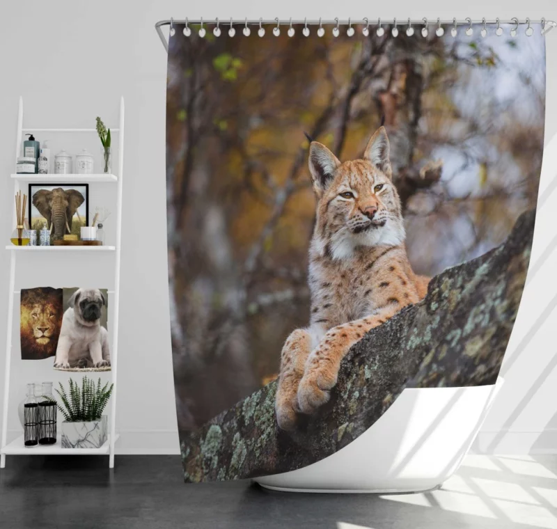 Fierce Wilderness Lynx Power Shower Curtain