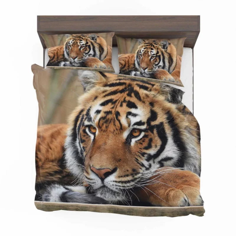 Fierce Wilderness Tiger Dominance Bedding Set 1