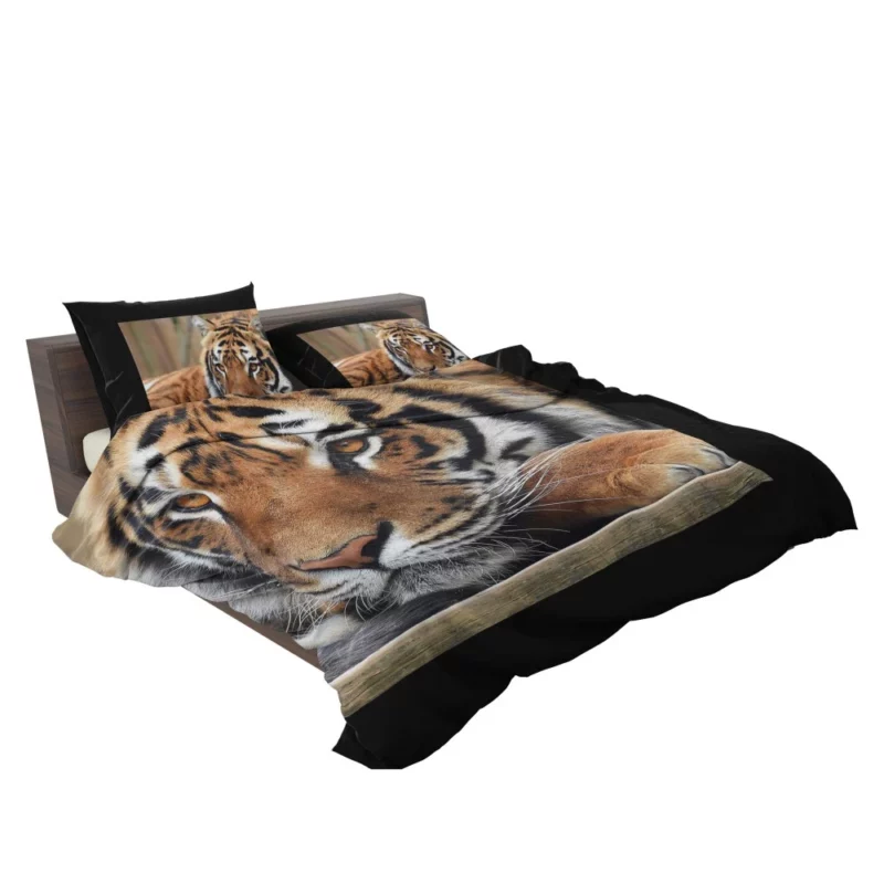 Fierce Wilderness Tiger Dominance Bedding Set 2