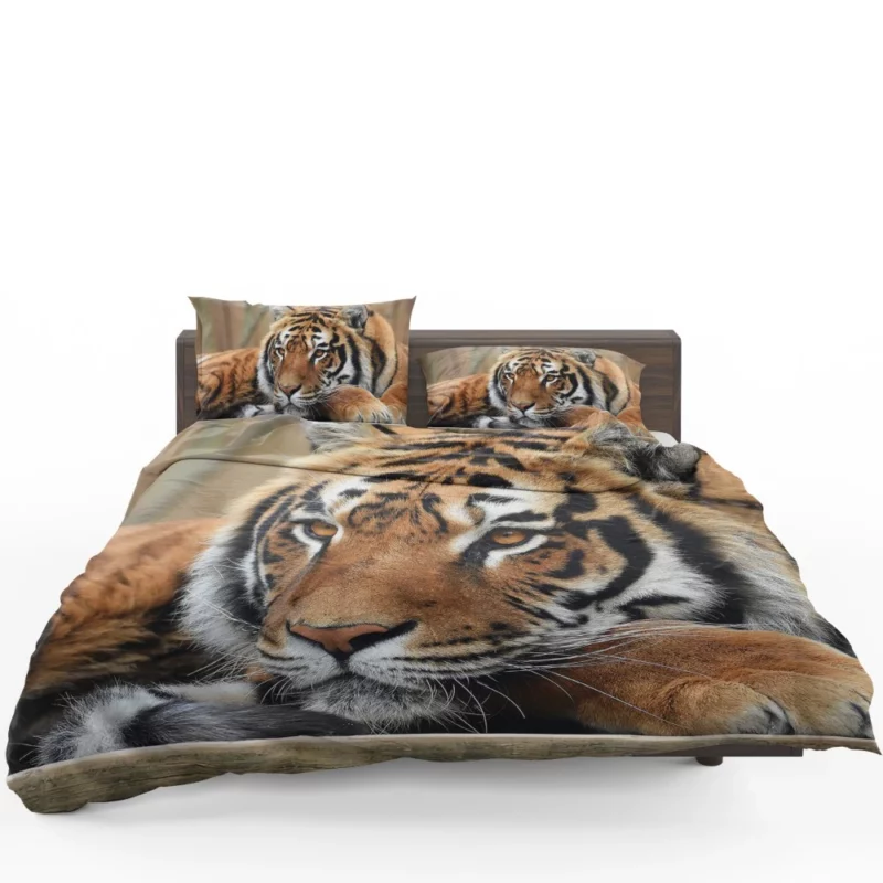 Fierce Wilderness Tiger Dominance Bedding Set