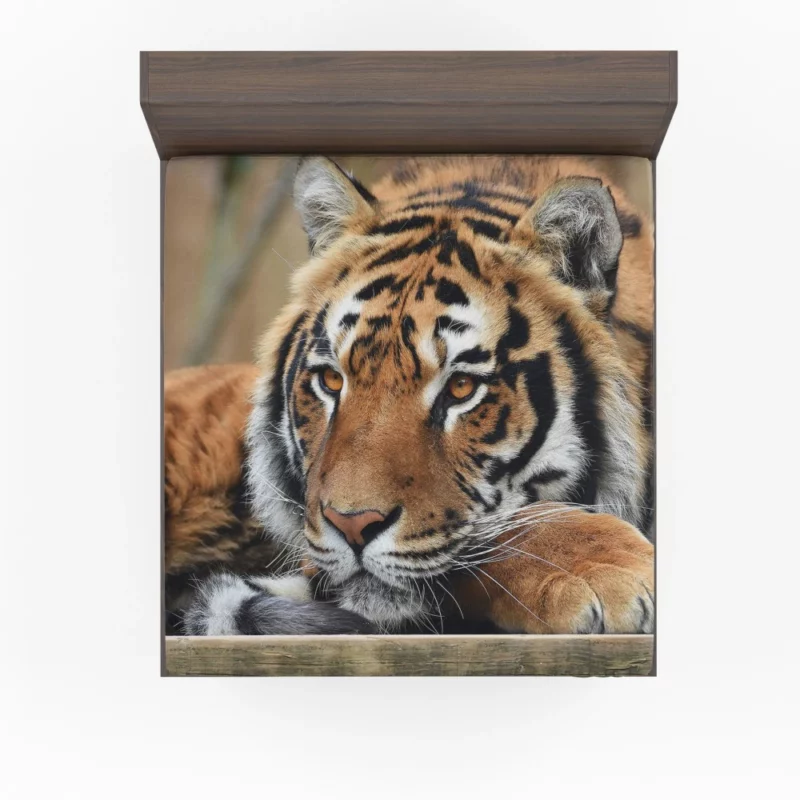 Fierce Wilderness Tiger Dominance Fitted Sheet 1