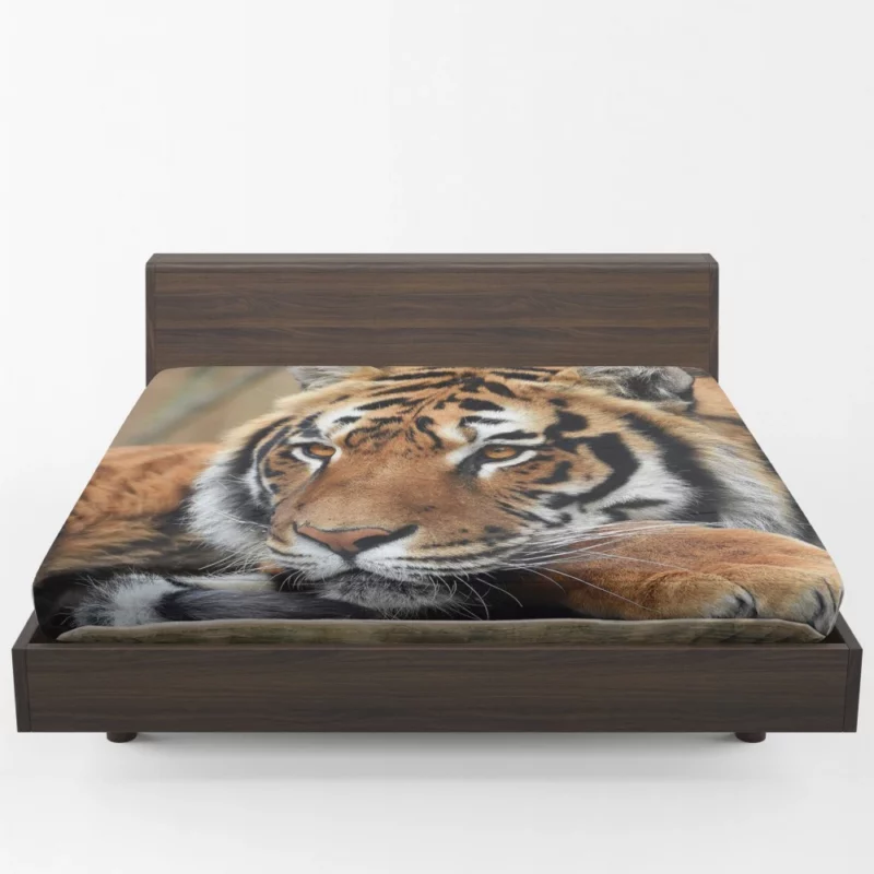 Fierce Wilderness Tiger Dominance Fitted Sheet