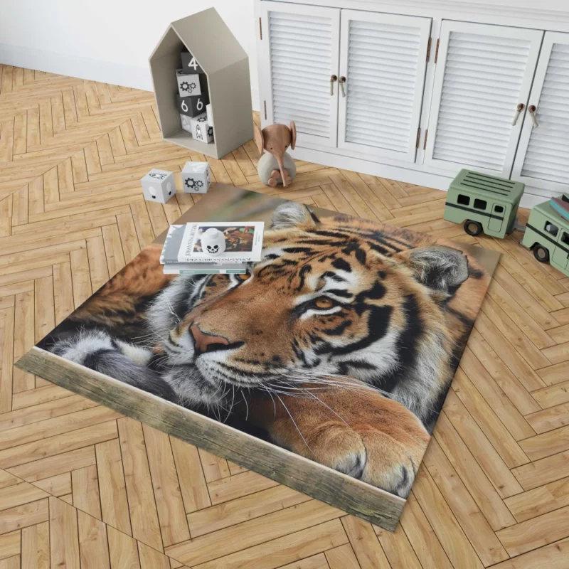 Fierce Wilderness Tiger Dominance Rug 1