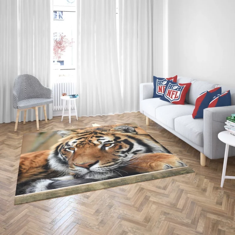 Fierce Wilderness Tiger Dominance Rug 2