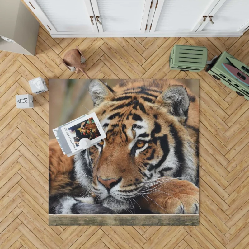 Fierce Wilderness Tiger Dominance Rug