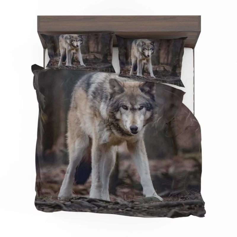 Fierce Wolf Gaze Untamed Majesty Bedding Set 1