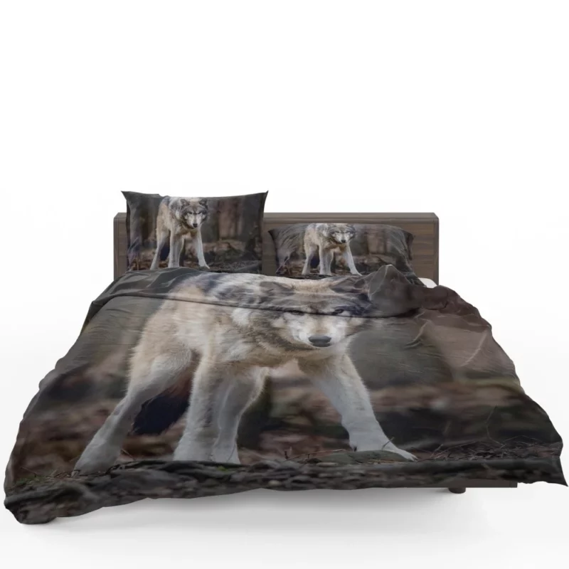 Fierce Wolf Gaze Untamed Majesty Bedding Set