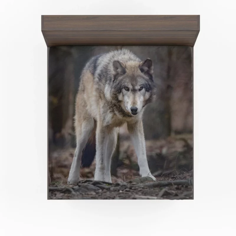 Fierce Wolf Gaze Untamed Majesty Fitted Sheet 1