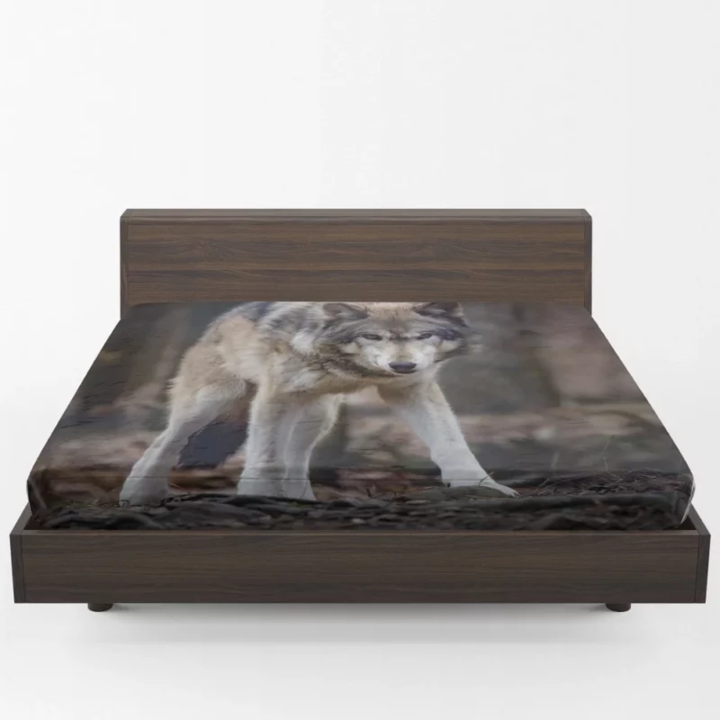 Fierce Wolf Gaze Untamed Majesty Fitted Sheet