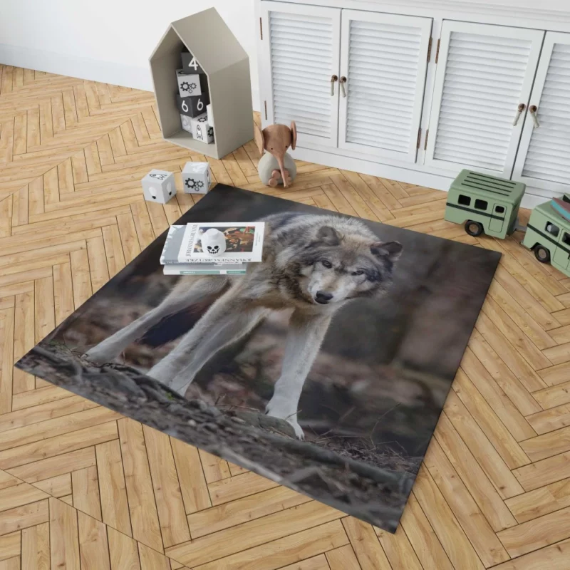 Fierce Wolf Gaze Untamed Majesty Rug 1