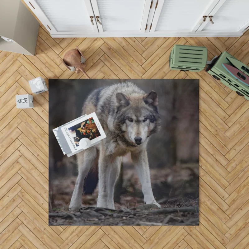 Fierce Wolf Gaze Untamed Majesty Rug