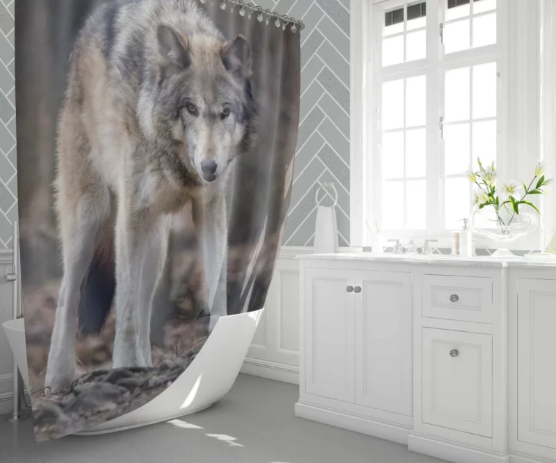 Fierce Wolf Gaze Untamed Majesty Shower Curtain 1