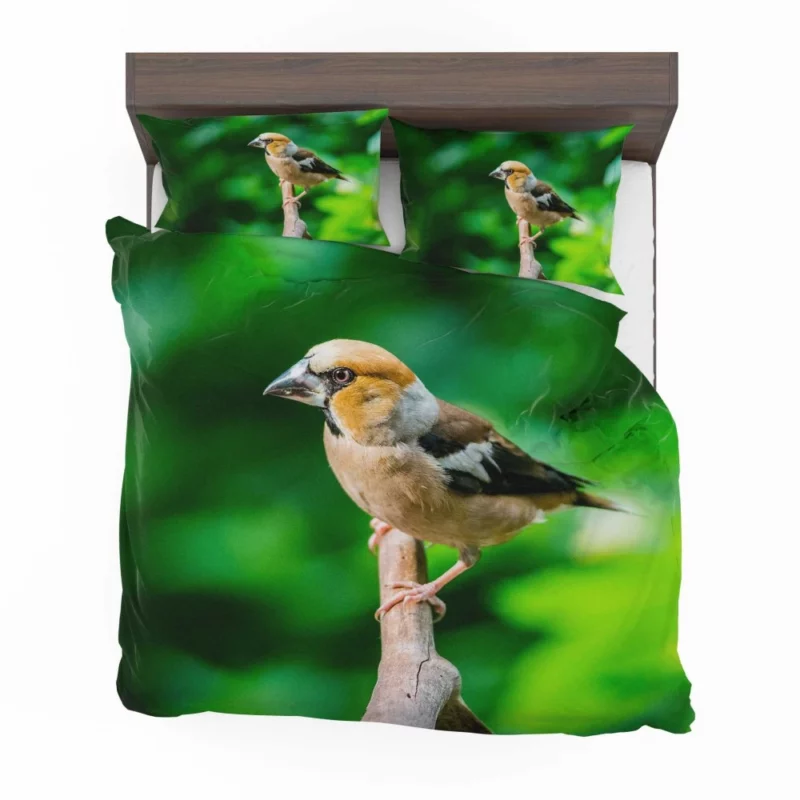 Finch Branch Perch Nature Harmony Bedding Set 1