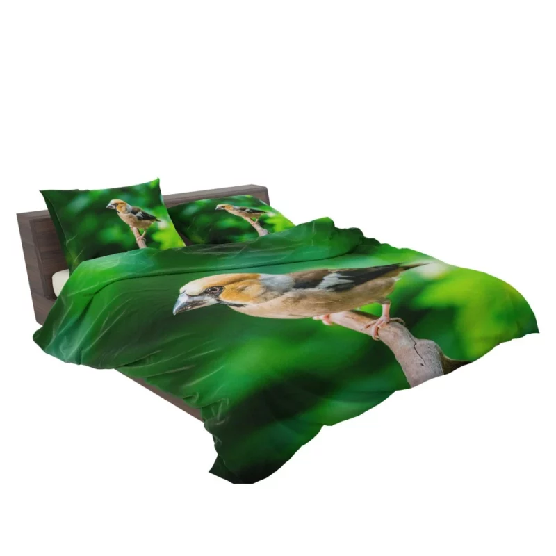 Finch Branch Perch Nature Harmony Bedding Set 2