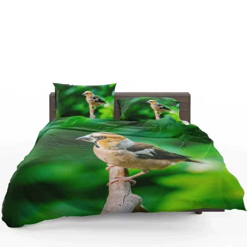 Finch Branch Perch Nature Harmony Bedding Set