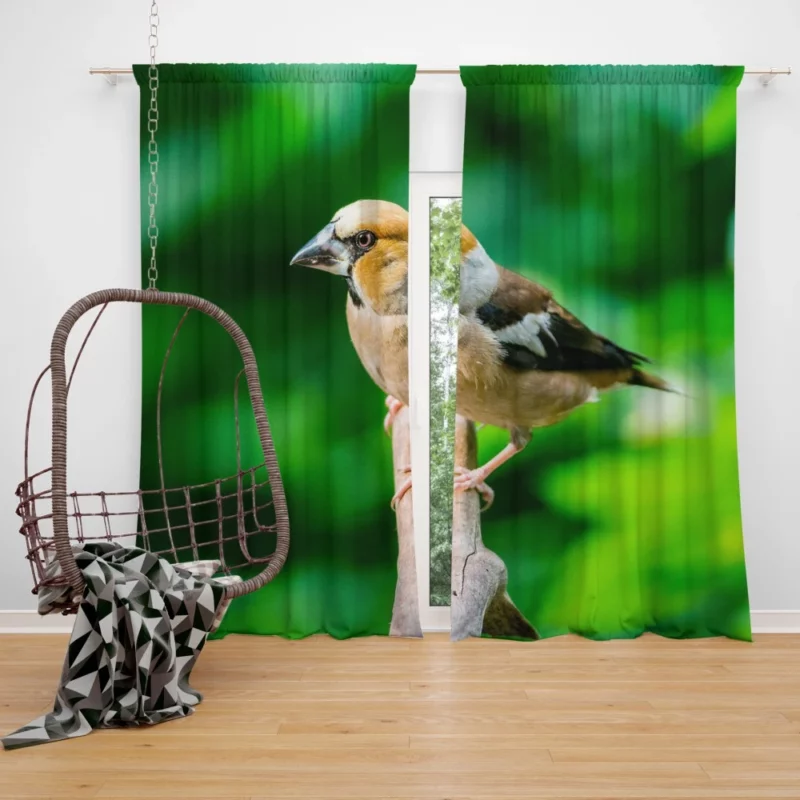 Finch Branch Perch Nature Harmony Curtain