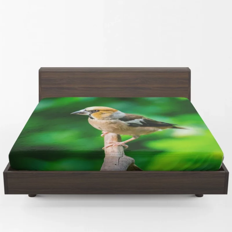 Finch Branch Perch Nature Harmony Fitted Sheet