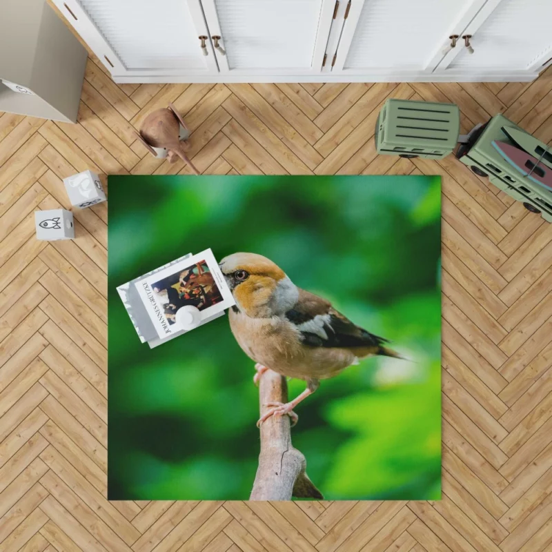 Finch Branch Perch Nature Harmony Rug