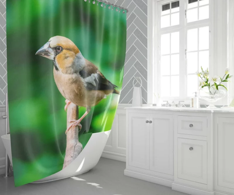 Finch Branch Perch Nature Harmony Shower Curtain 1