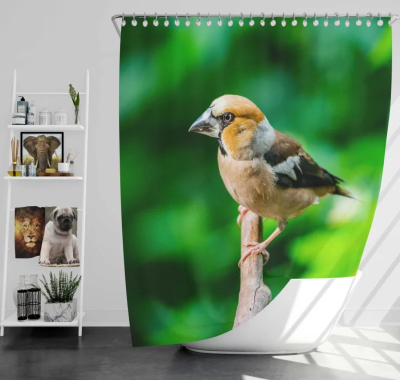 Finch Branch Perch Nature Harmony Shower Curtain