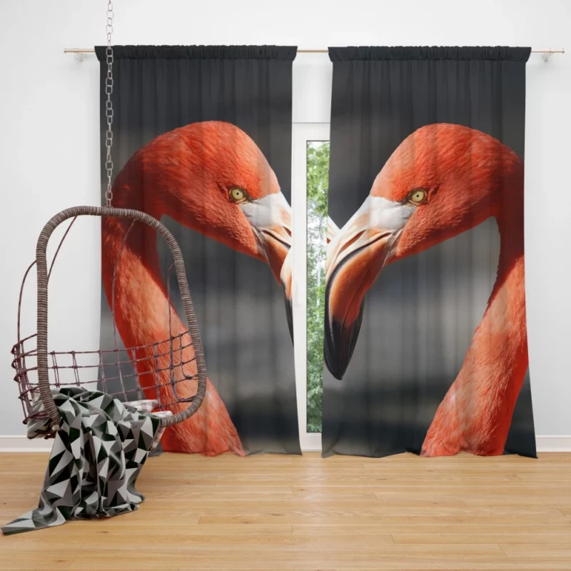 Flamingo Colorful Dance Tropical Splendor Curtain