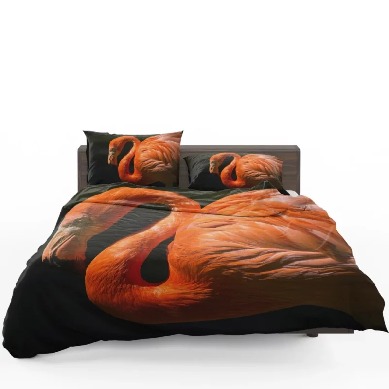 Flamingo Exotic Grace Pink Majesty Bedding Set