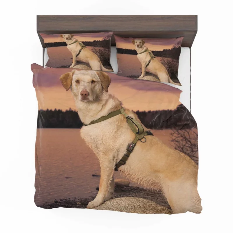 Fluffy Golden Retriever by the Lake Bedding Set 1