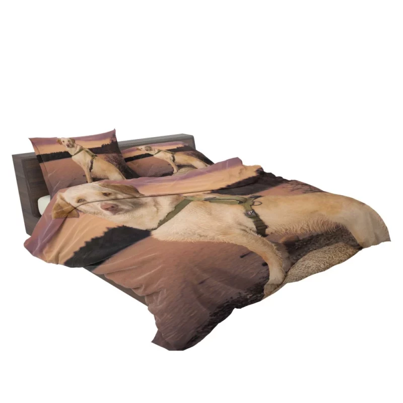 Fluffy Golden Retriever by the Lake Bedding Set 2