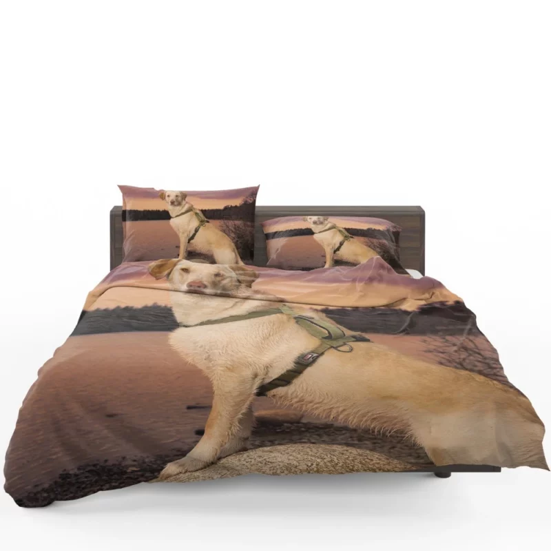 Fluffy Golden Retriever by the Lake Bedding Set