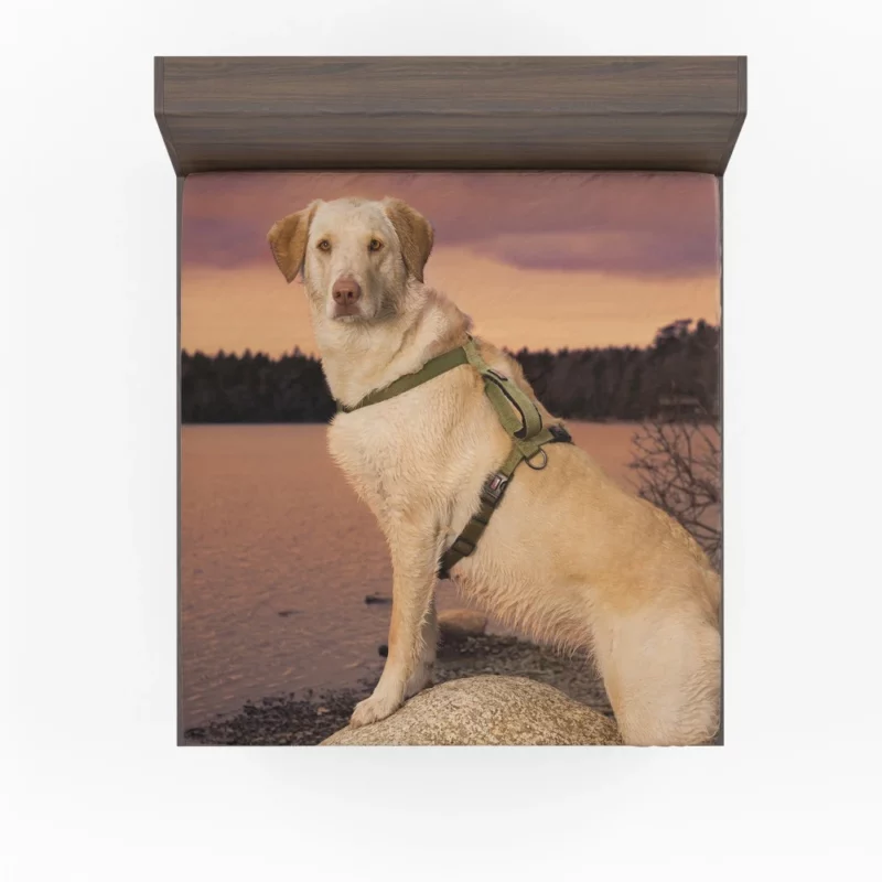 Fluffy Golden Retriever by the Lake Fitted Sheet 1