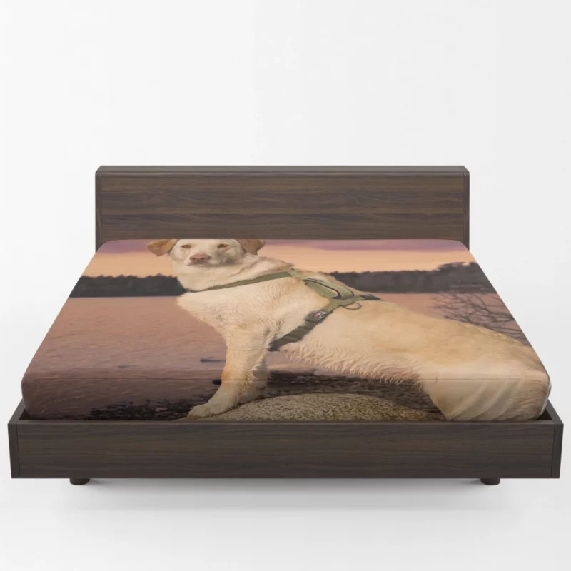 Fluffy Golden Retriever by the Lake Fitted Sheet