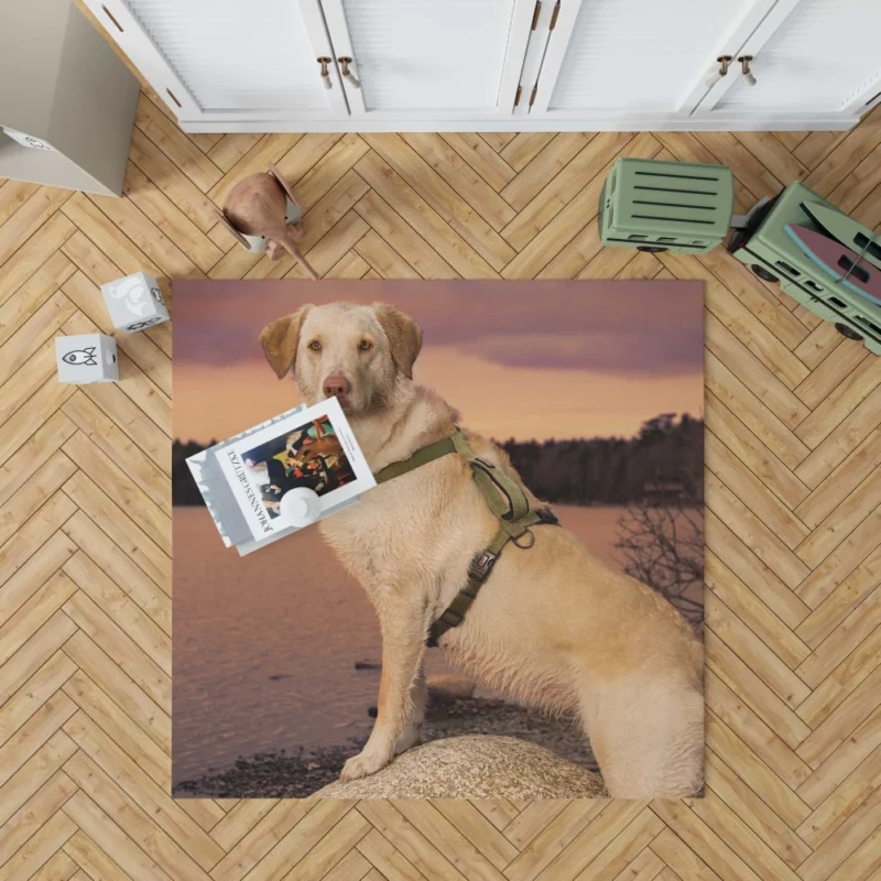 Fluffy Golden Retriever by the Lake Rug