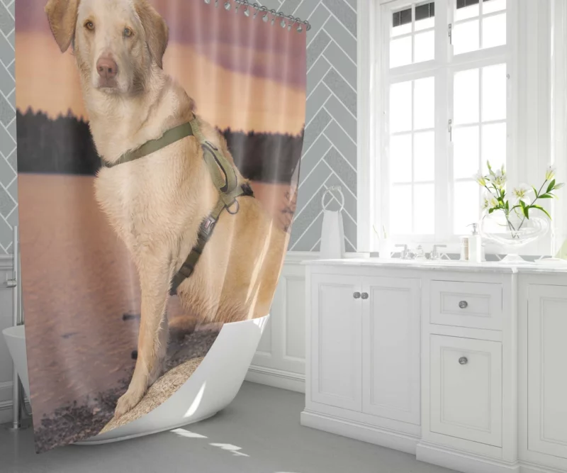 Fluffy Golden Retriever by the Lake Shower Curtain 1